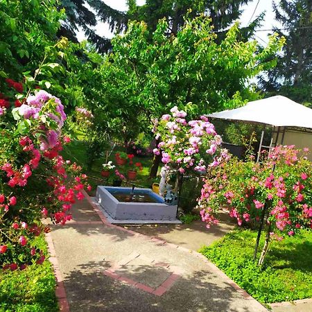 Apartment Ljupka Pančevo Dış mekan fotoğraf