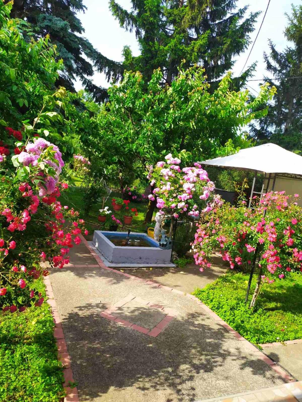 Apartment Ljupka Pančevo Dış mekan fotoğraf