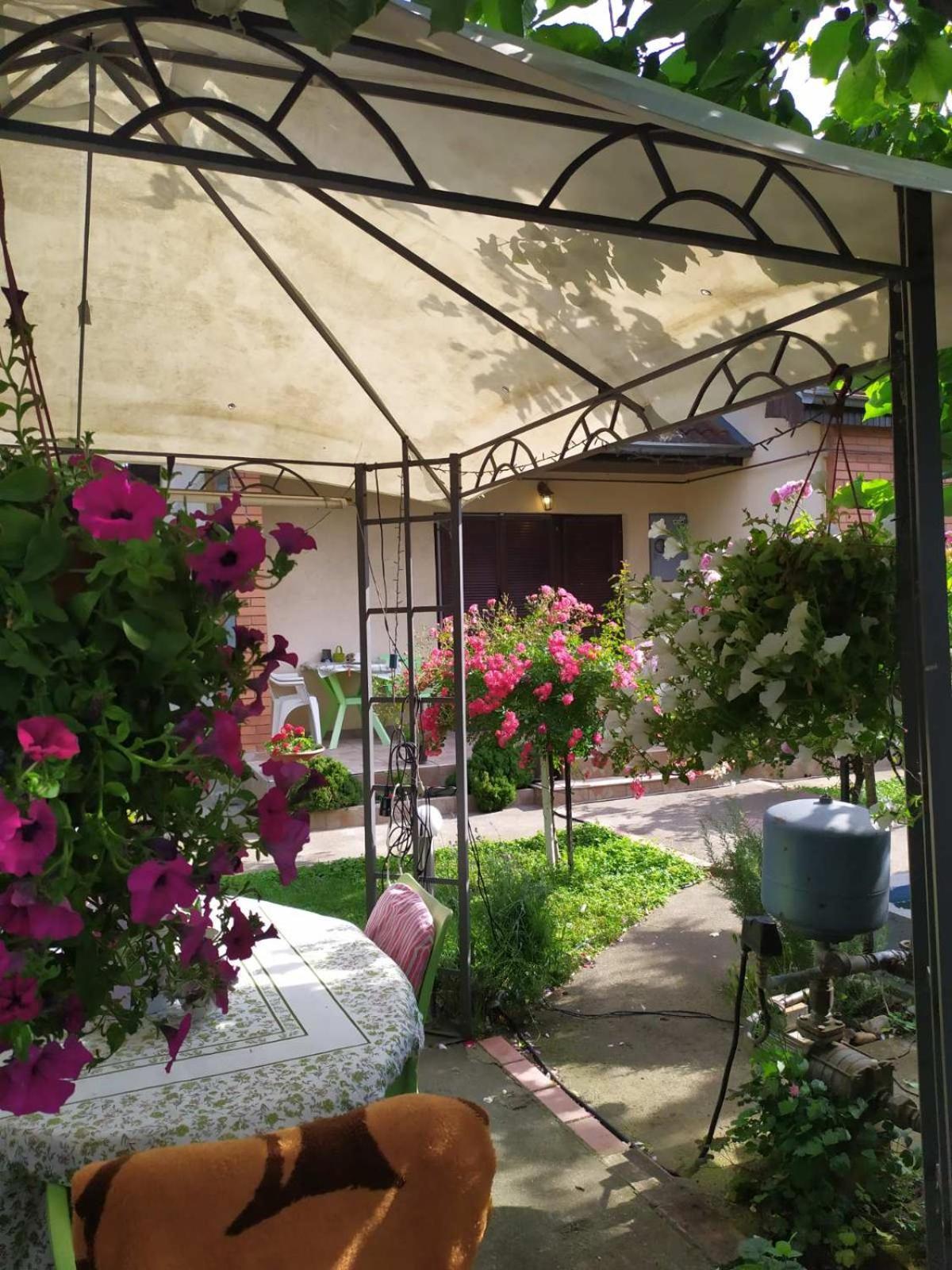 Apartment Ljupka Pančevo Dış mekan fotoğraf