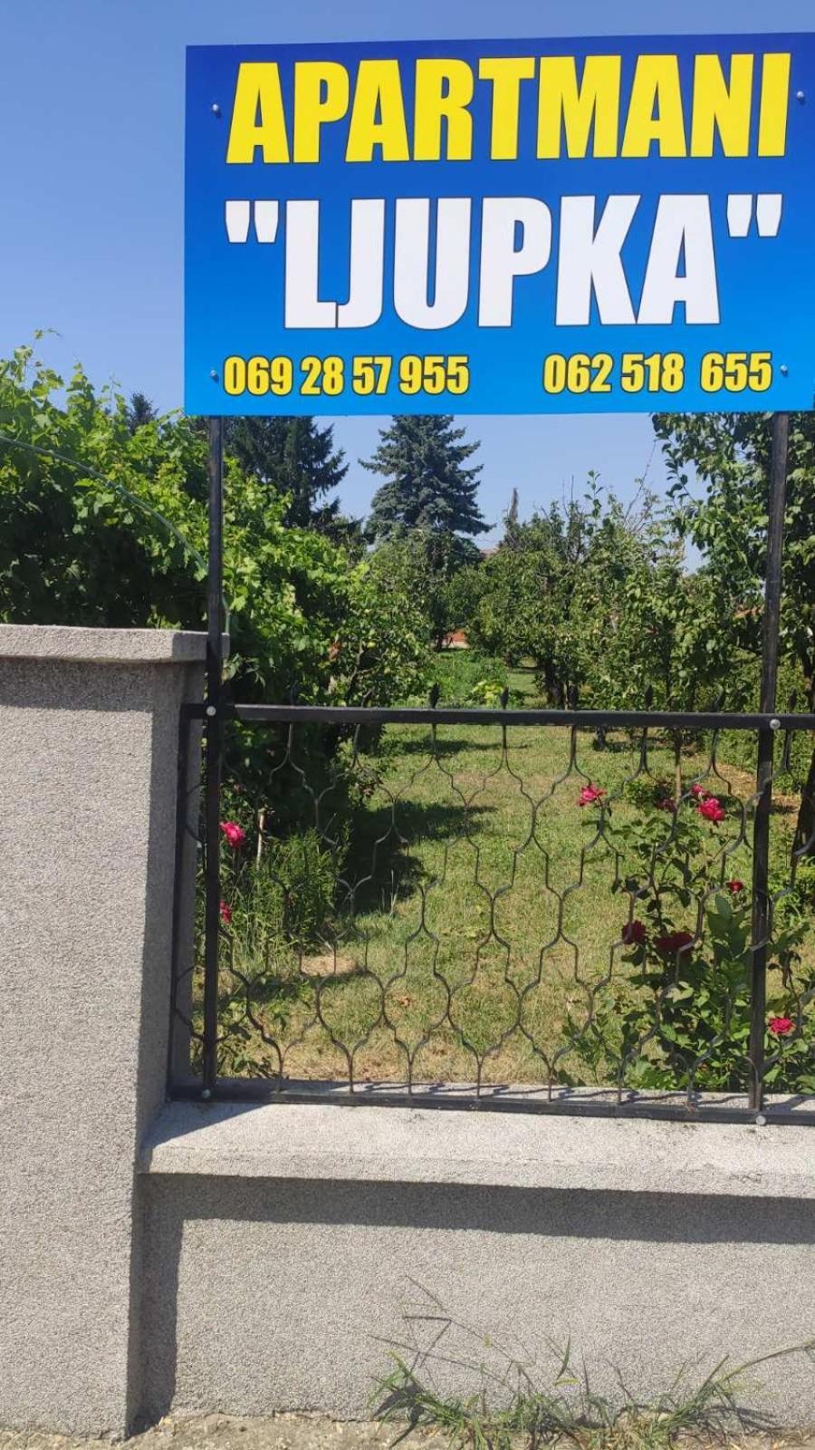 Apartment Ljupka Pančevo Dış mekan fotoğraf