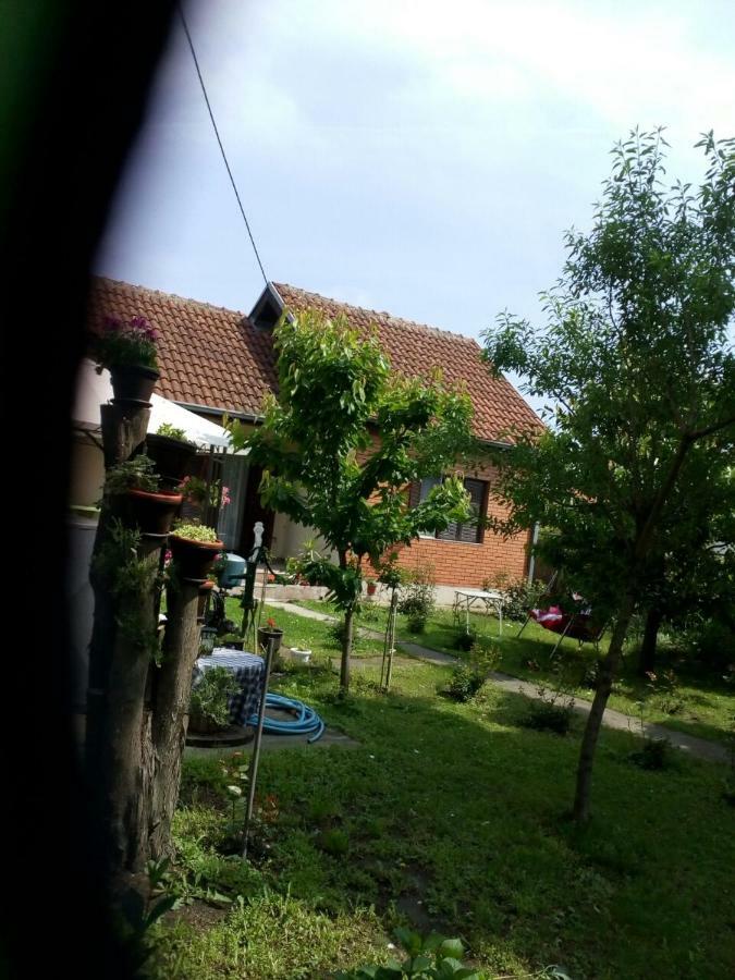 Apartment Ljupka Pančevo Dış mekan fotoğraf