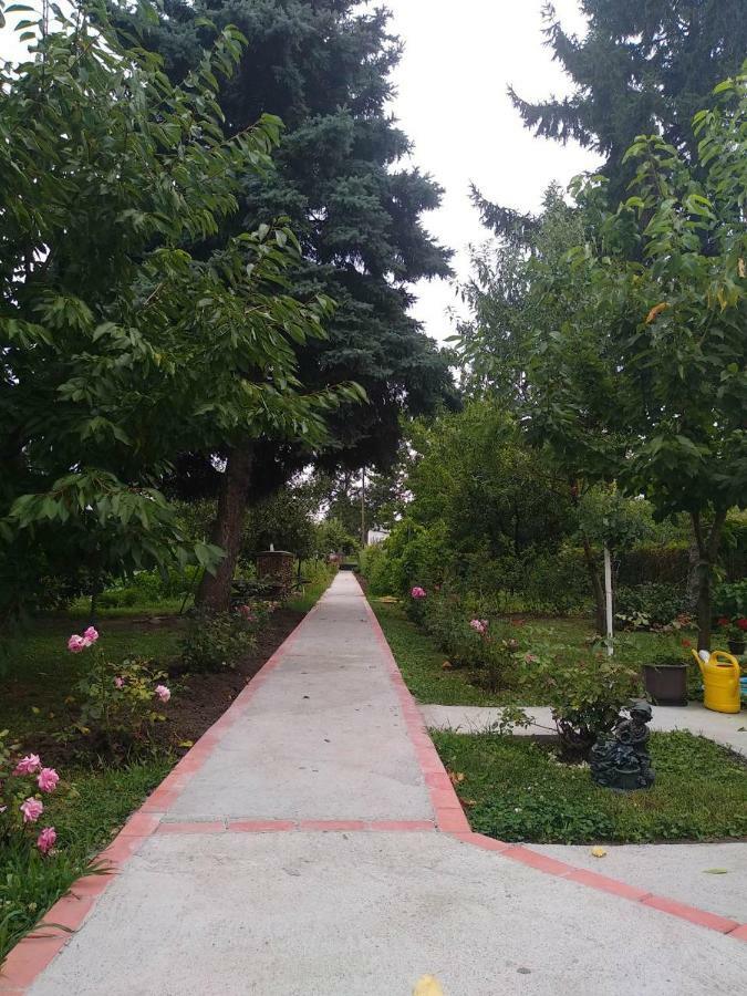 Apartment Ljupka Pančevo Dış mekan fotoğraf