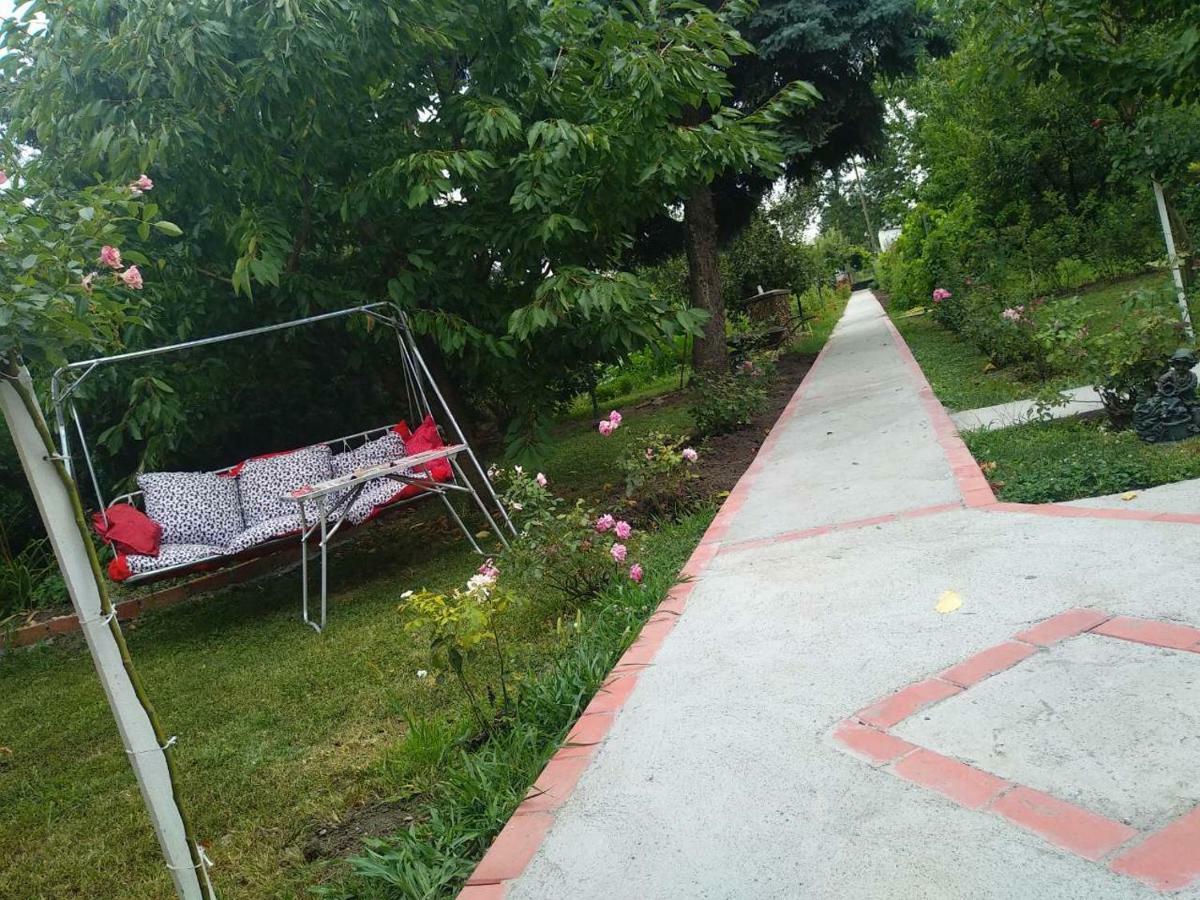 Apartment Ljupka Pančevo Dış mekan fotoğraf