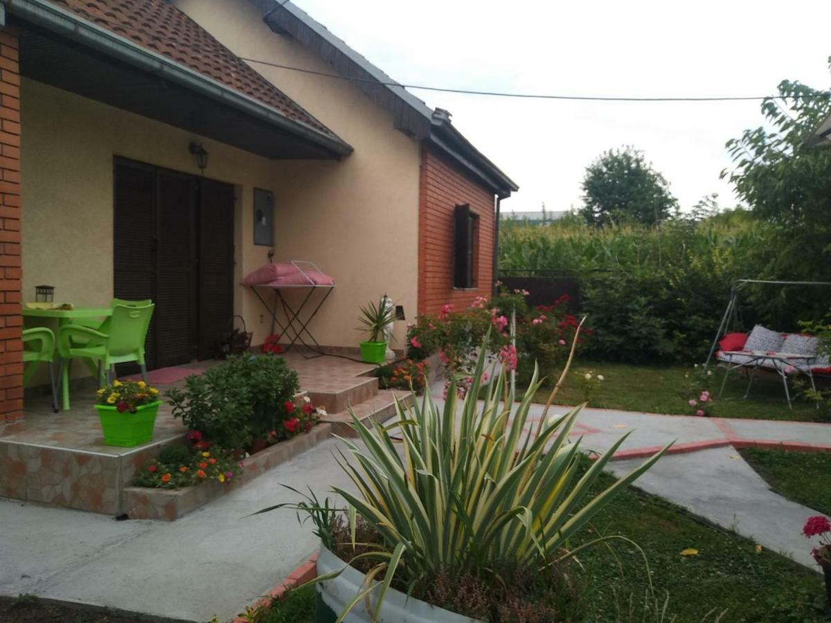 Apartment Ljupka Pančevo Dış mekan fotoğraf