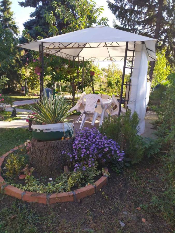 Apartment Ljupka Pančevo Dış mekan fotoğraf