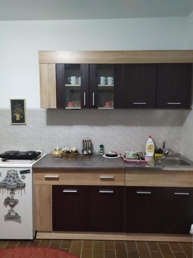 Apartment Ljupka Pančevo Dış mekan fotoğraf