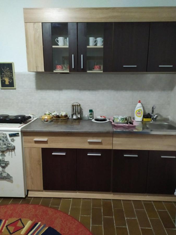 Apartment Ljupka Pančevo Dış mekan fotoğraf